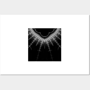 Monochrome Fractal Lightning (mirrored) Posters and Art